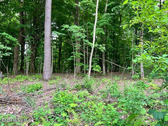 L 67.1 Mcgregor Road Gloversville NY 12078