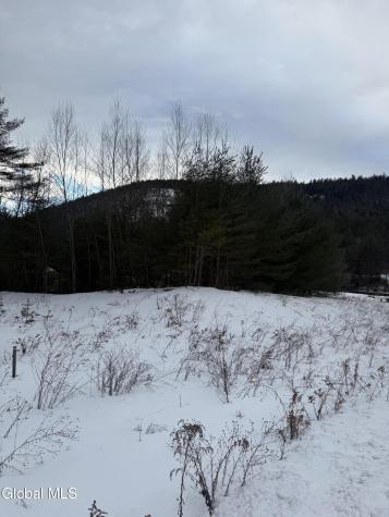 8 Brant Lake Creek Road Brant Lake NY 12815