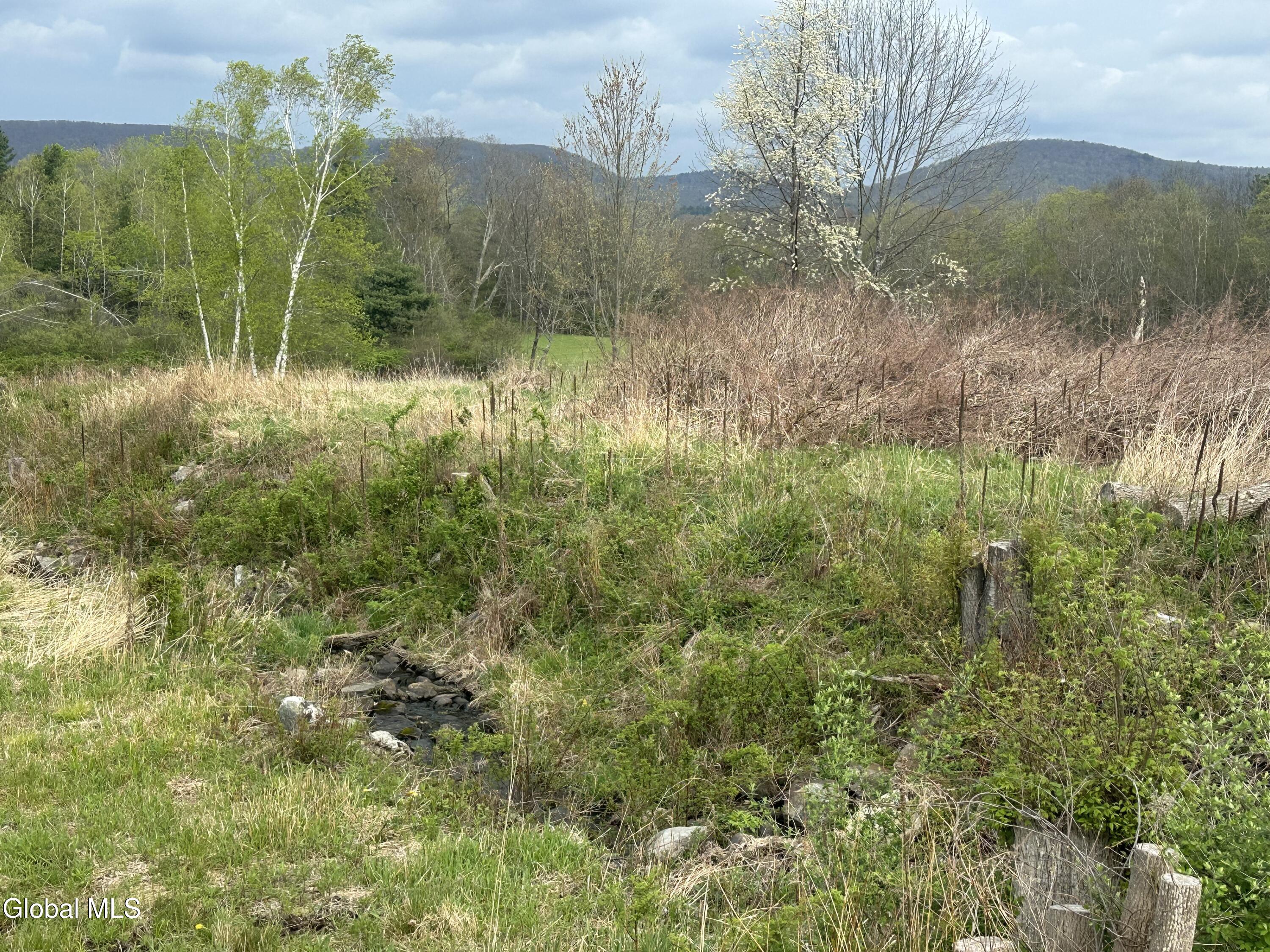 337 Presbyterian Hill Road Stephentown NY 12168
