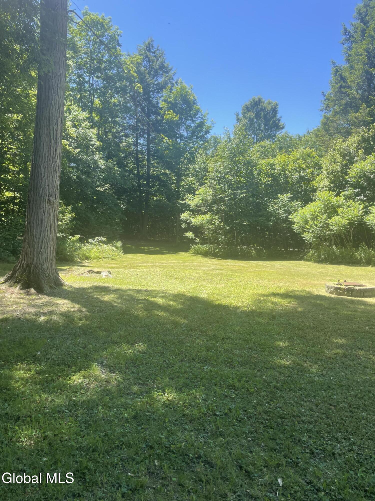 46 Battenkill Evergreens Salem NY 12865