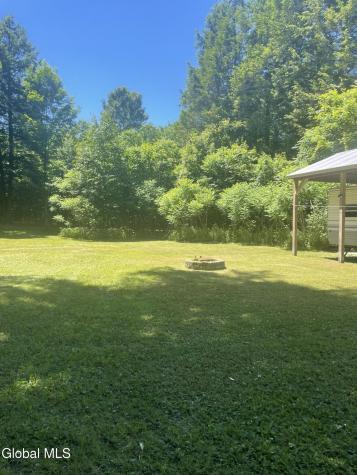 46 Battenkill Evergreens Salem NY 12865