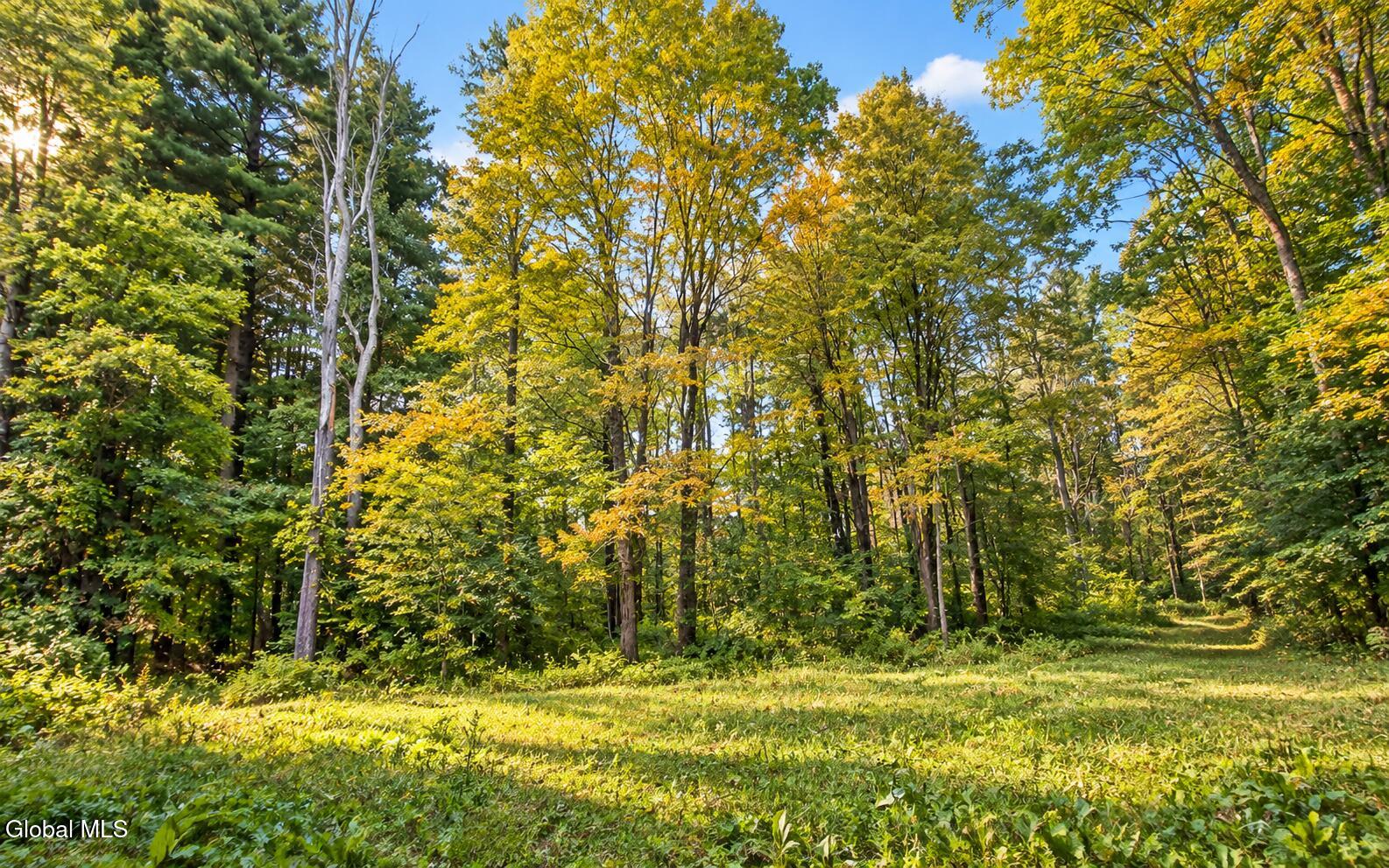 Lot 3 Massachusetts 41 Richmond MA 01254