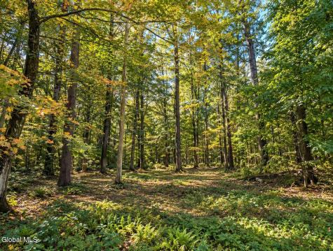 Lot 3 Massachusetts 41 Richmond MA 01254