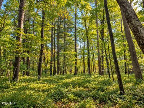 Lot 3 Massachusetts 41 Richmond MA 01254