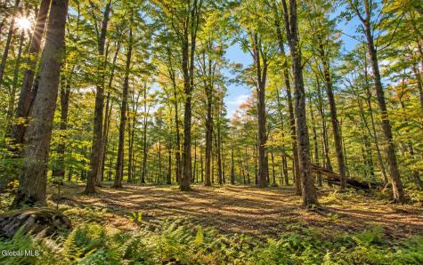 Lot 3 Massachusetts 41 Richmond MA 01254