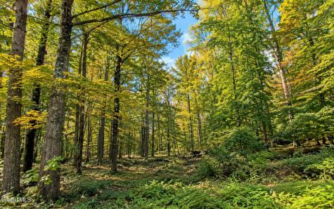 Lot 3 Massachusetts 41 Richmond MA 01254