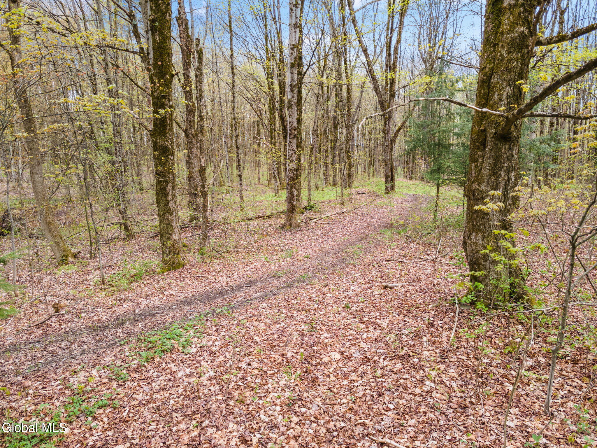L20 Hakes Calhoun Road Pitcher NY 13136