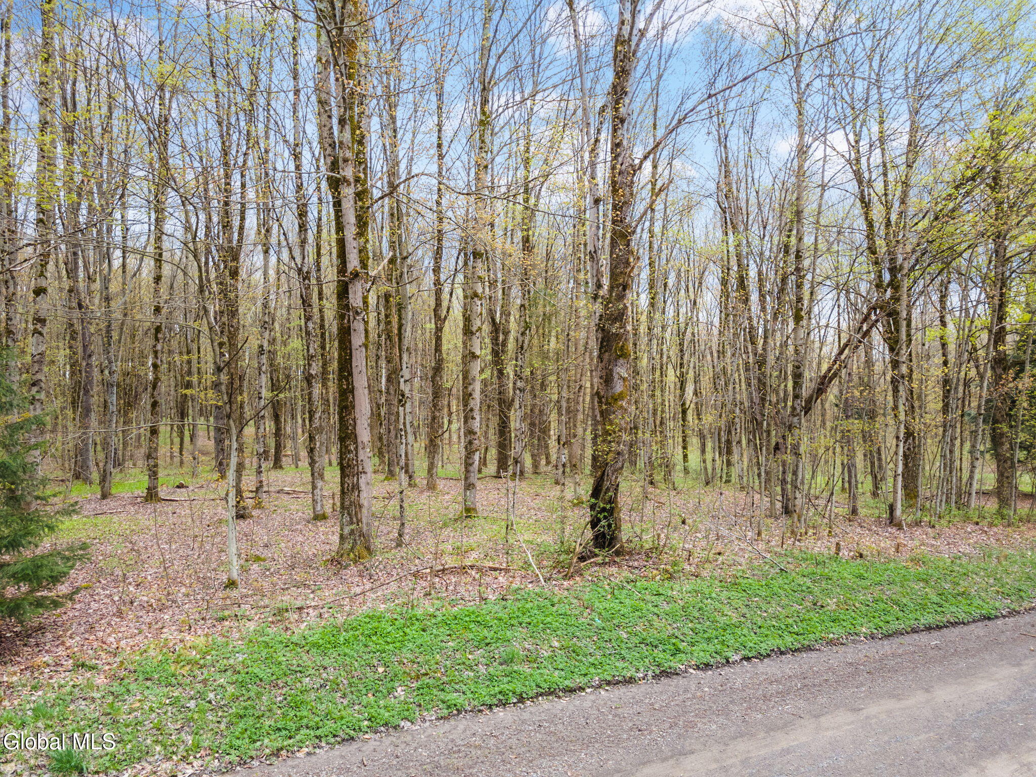 L20 Hakes Calhoun Road Pitcher NY 13136