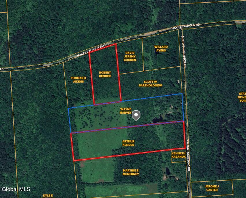 L20 Hakes Calhoun Road Pitcher NY 13136