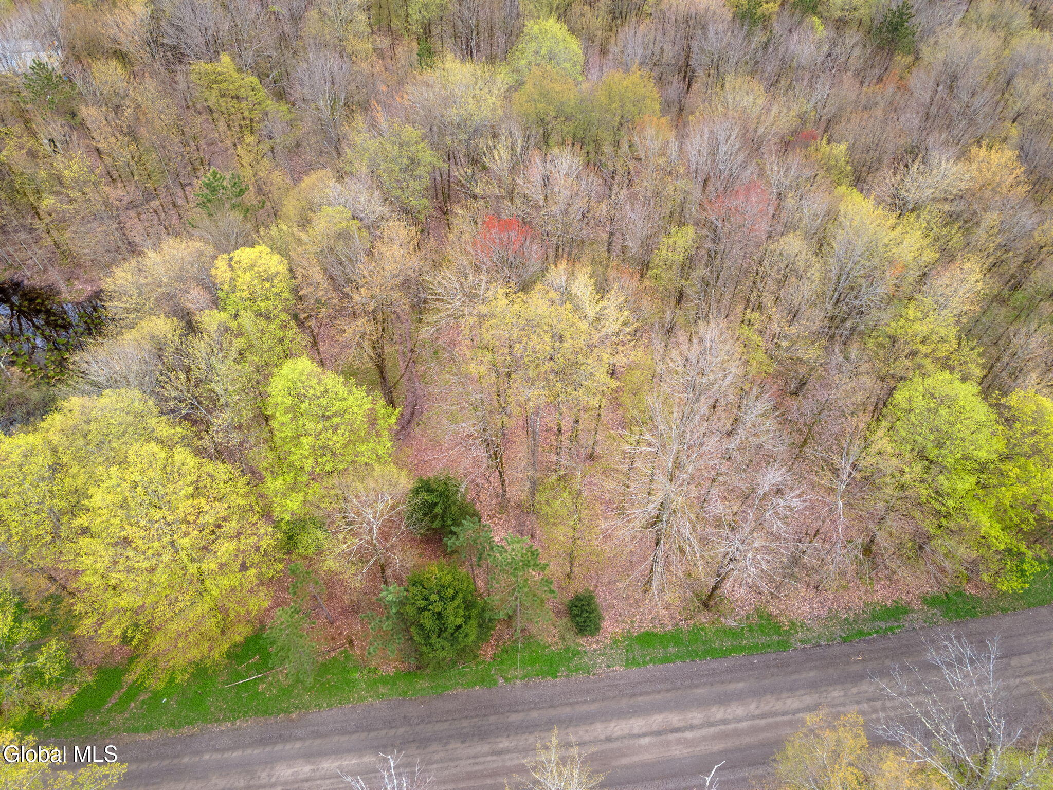 L20 Hakes Calhoun Road Pitcher NY 13136