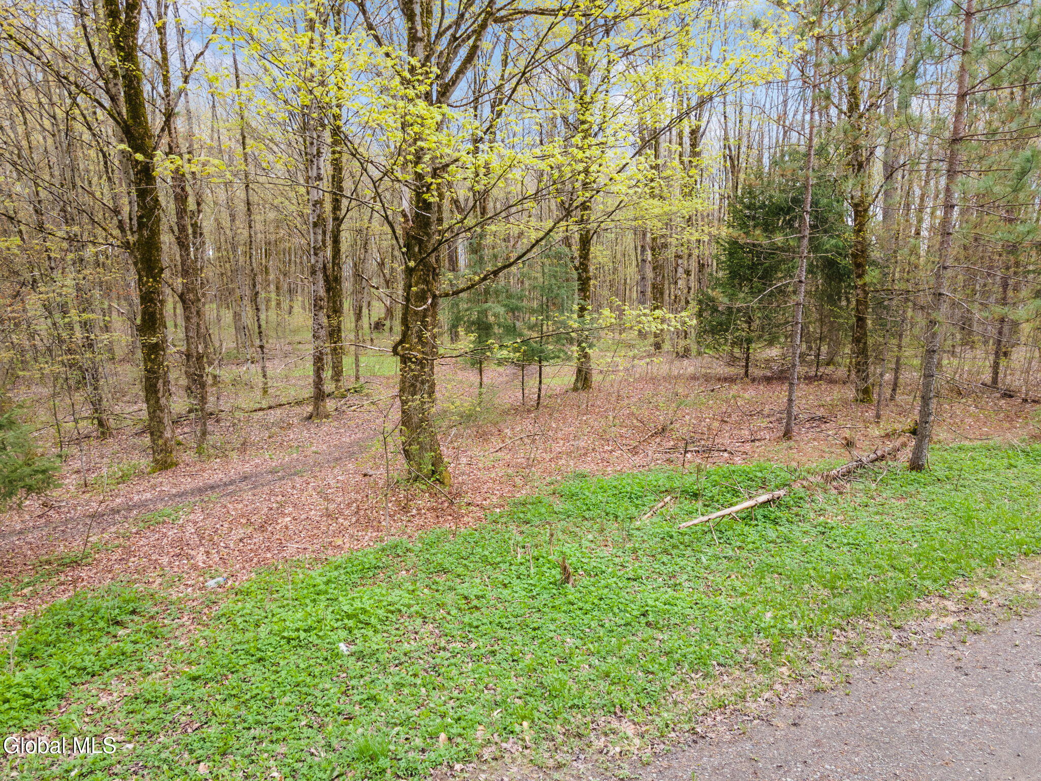 L20 Hakes Calhoun Road Pitcher NY 13136