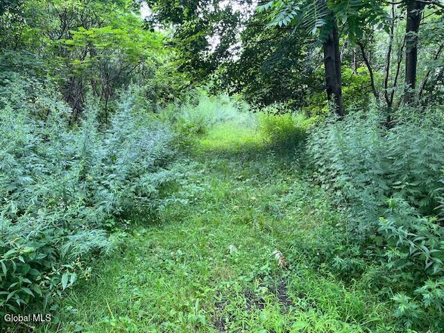 L28.2 Moss Road Frankfort NY 13340