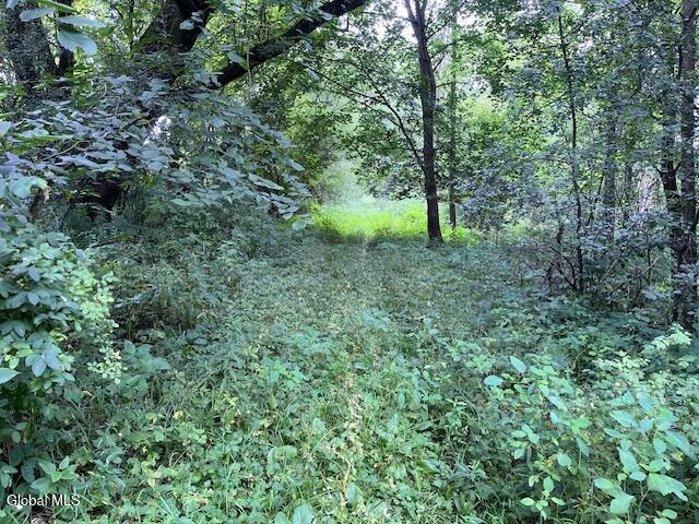 L28.2 Moss Road Frankfort NY 13340