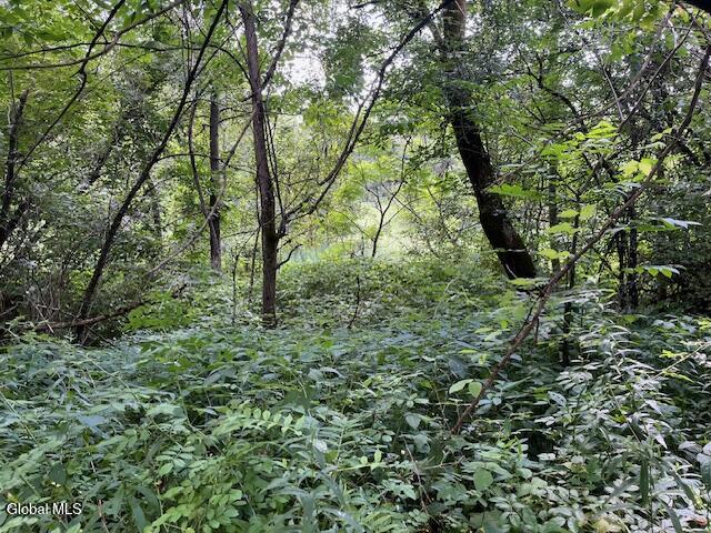 L28.2 Moss Road Frankfort NY 13340