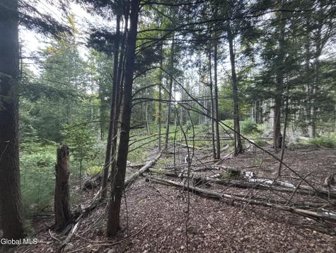 L38.11 South Shore Road Hadley NY 12835
