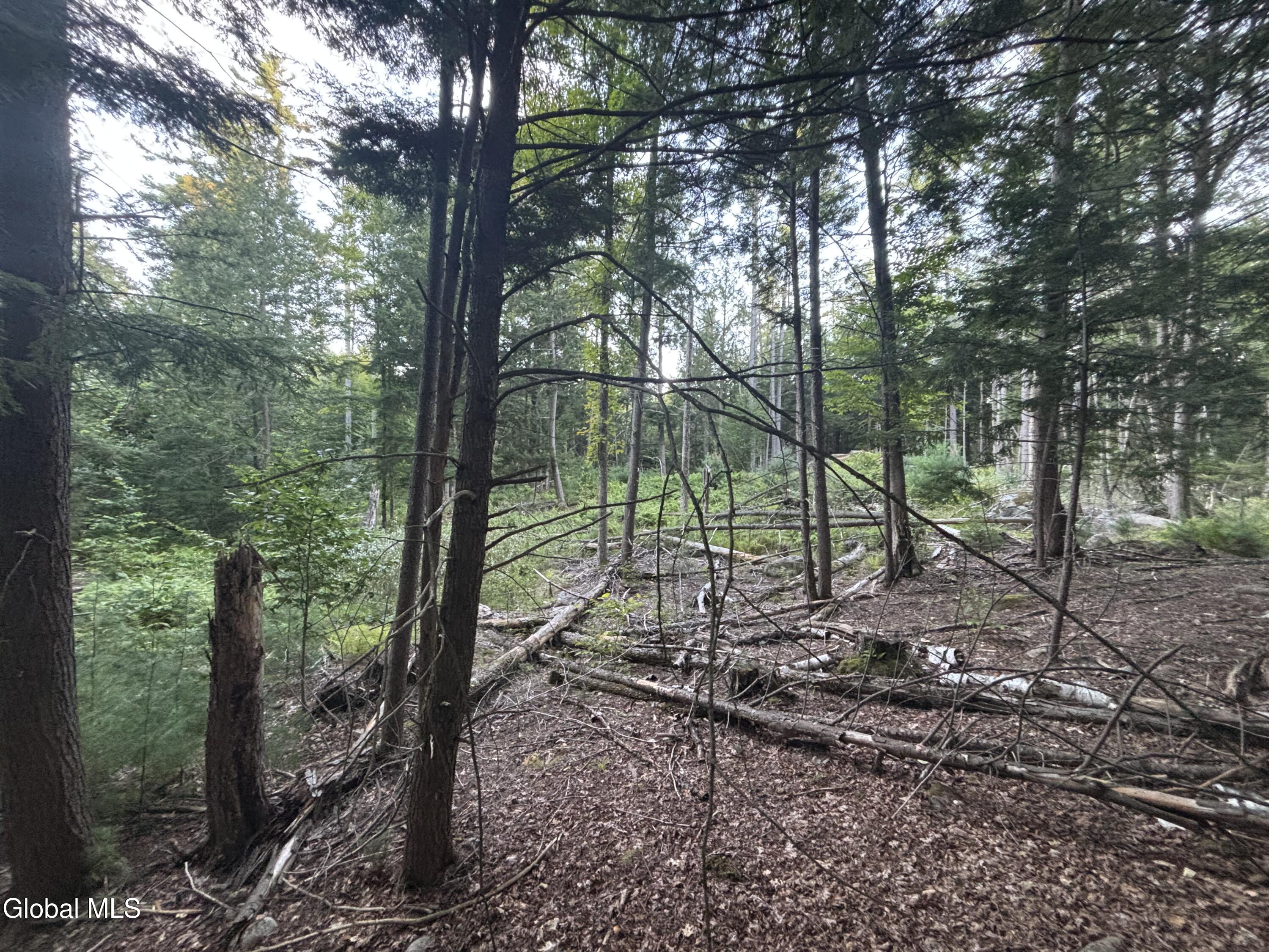 L38.11 South Shore Road Hadley NY 12835