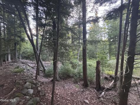 L38.11 South Shore Road Hadley NY 12835