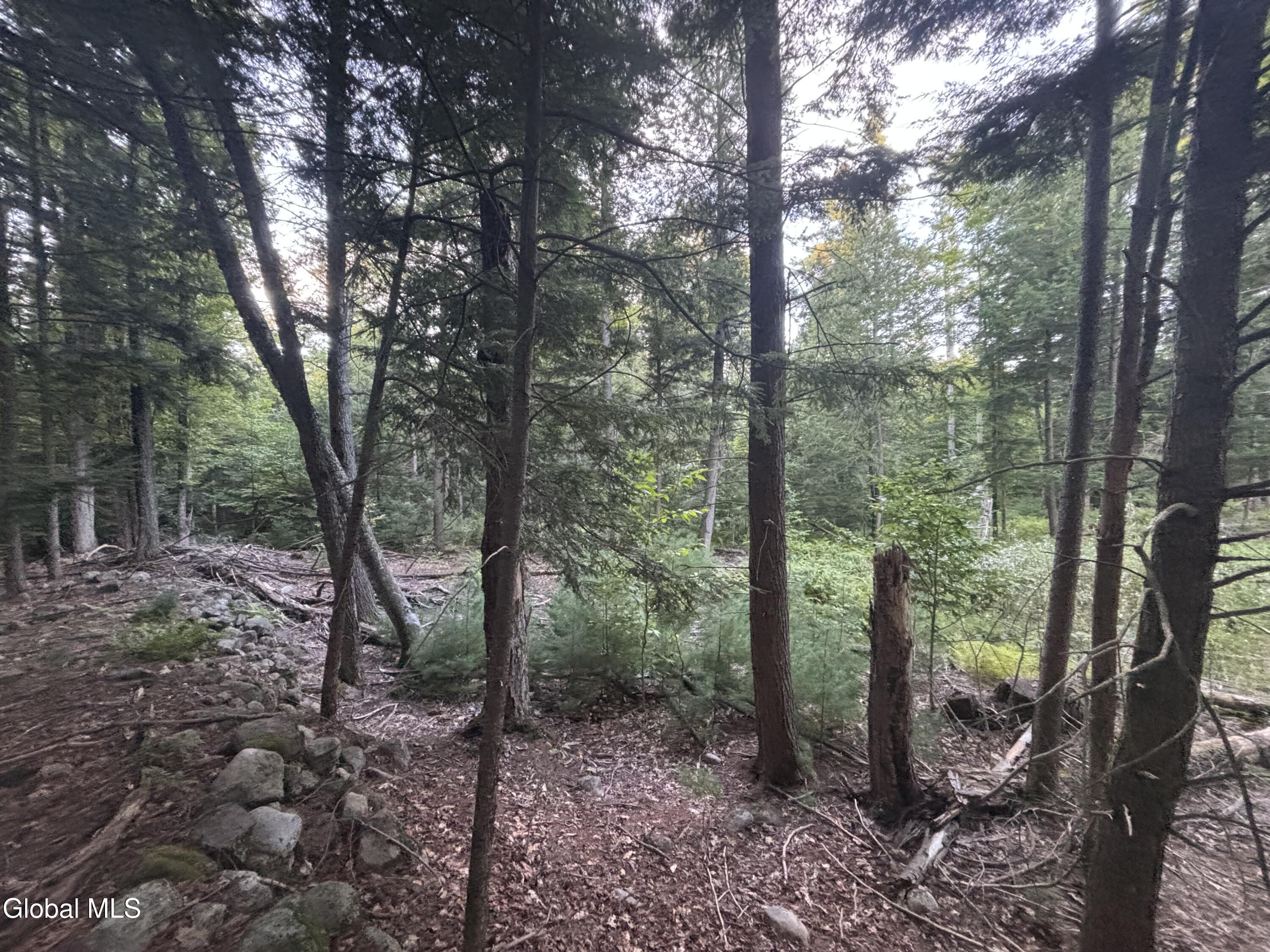 L38.11 South Shore Road Hadley NY 12835