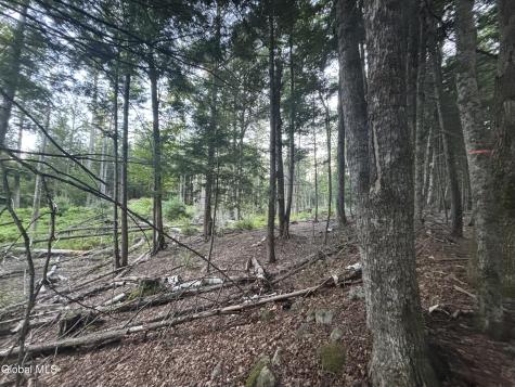 L38.11 South Shore Road Hadley NY 12835