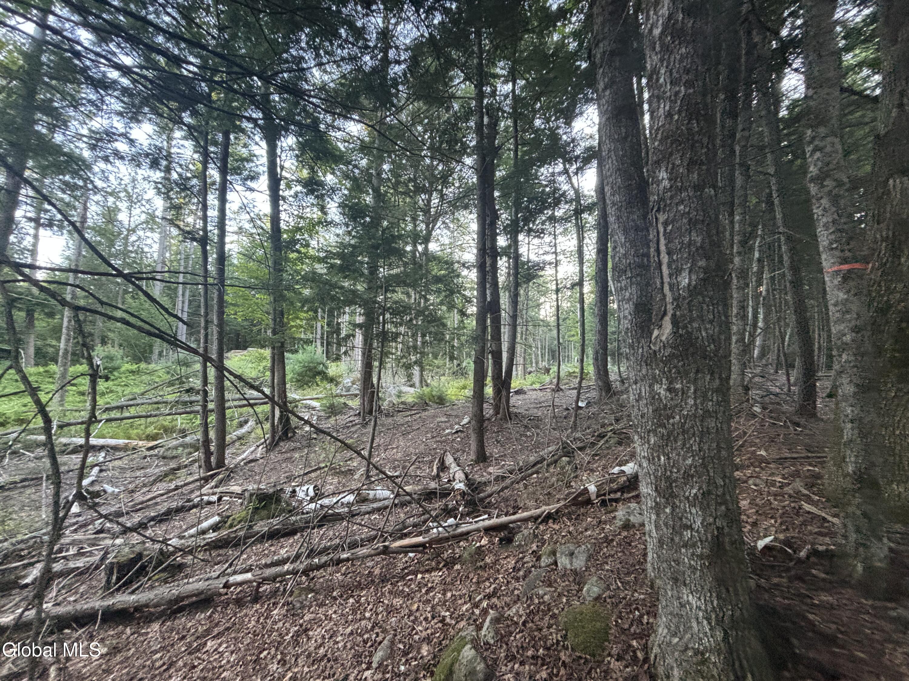 L38.11 South Shore Road Hadley NY 12835