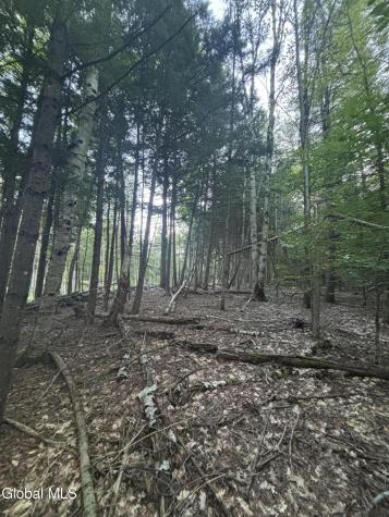 L38.11 South Shore Road Hadley NY 12835