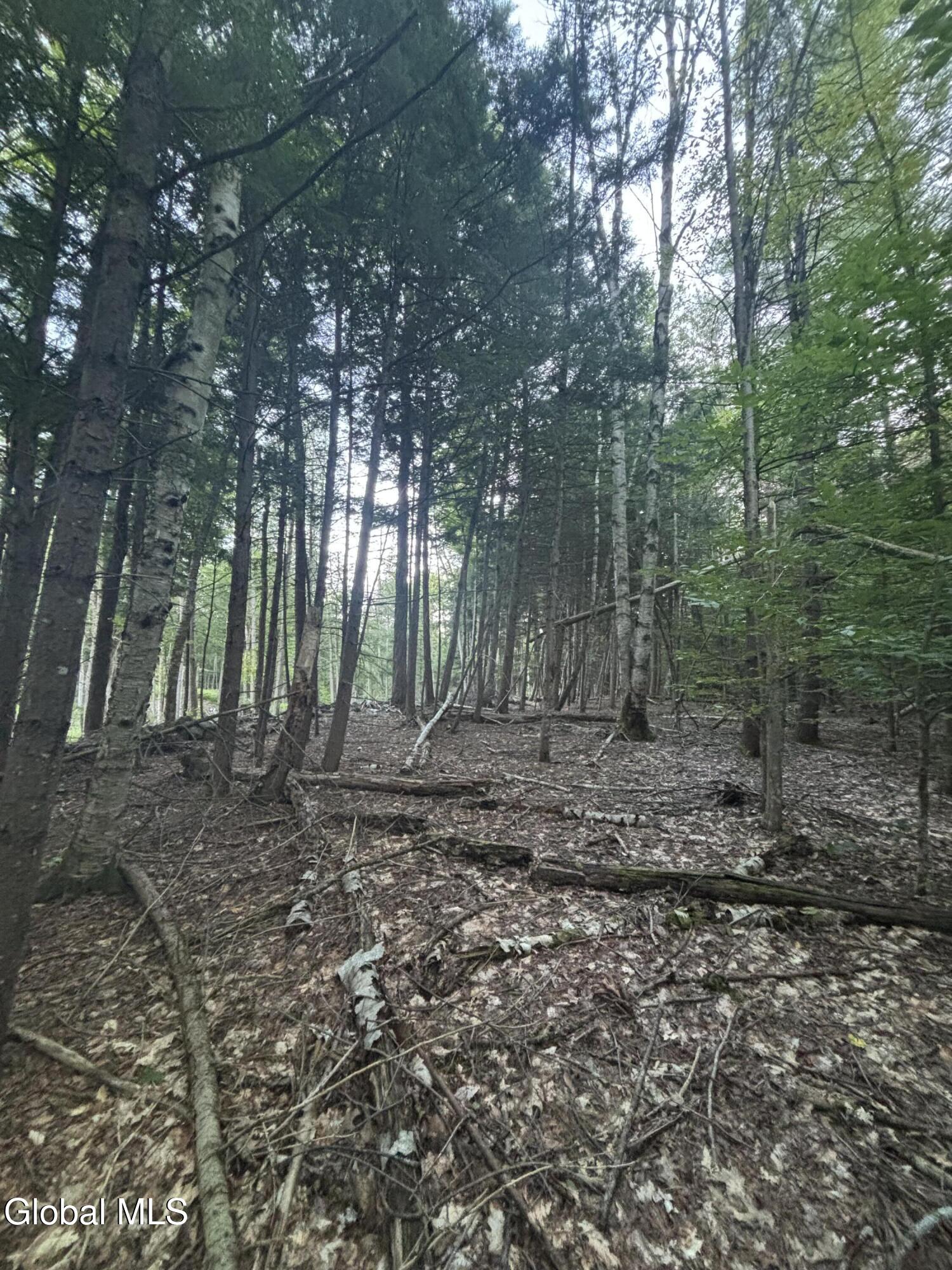 L38.11 South Shore Road Hadley NY 12835