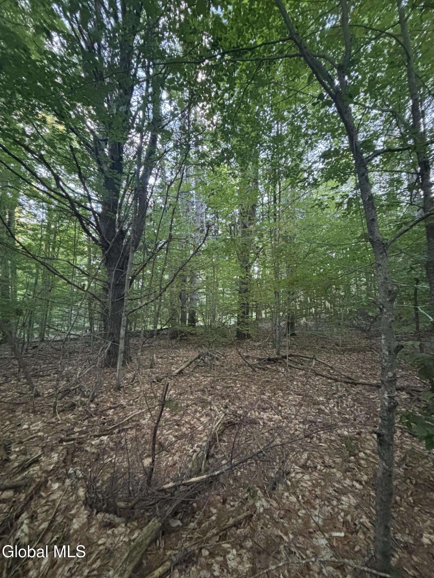 L38.11 South Shore Road Hadley NY 12835