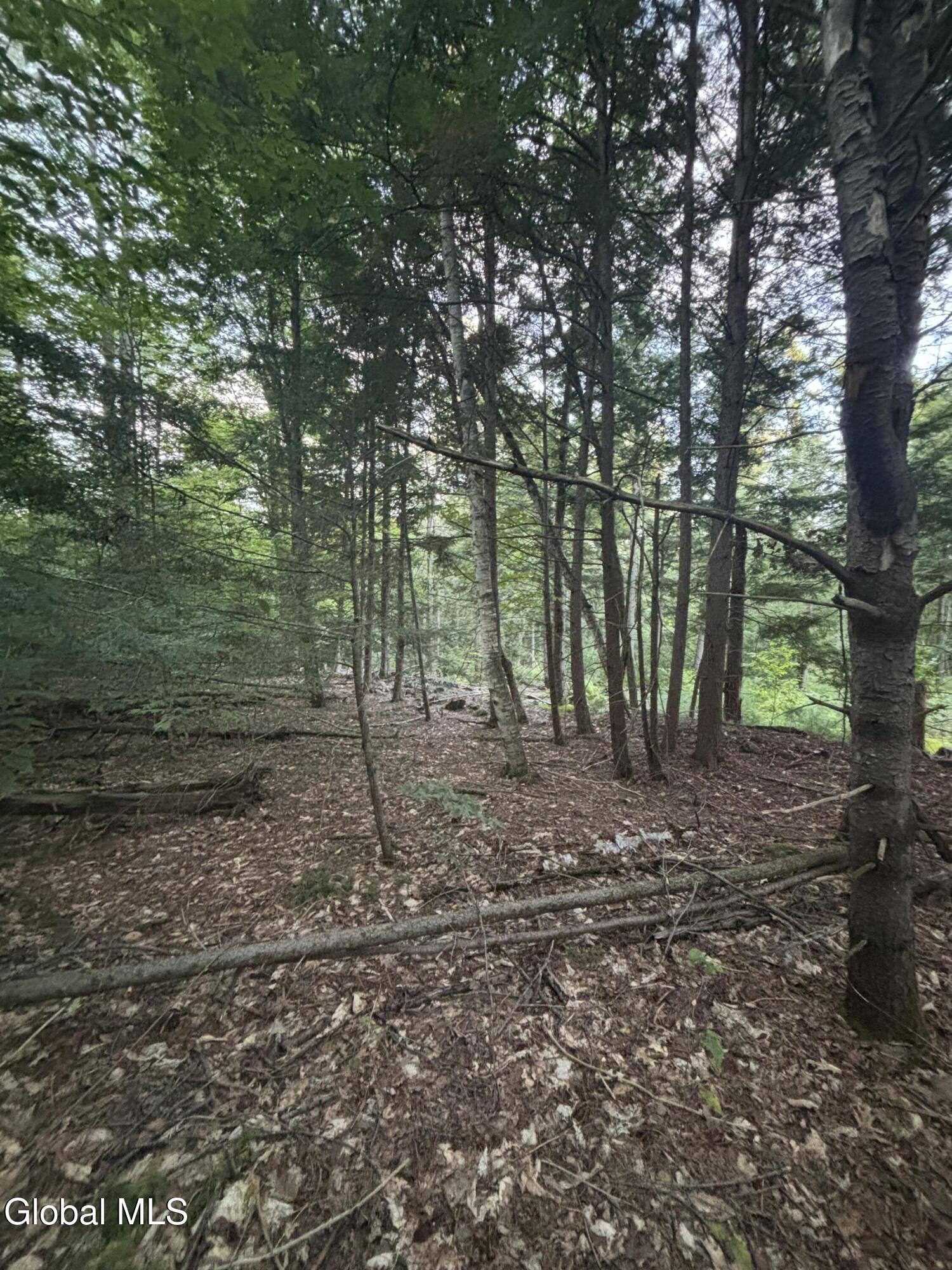 L38.11 South Shore Road Hadley NY 12835
