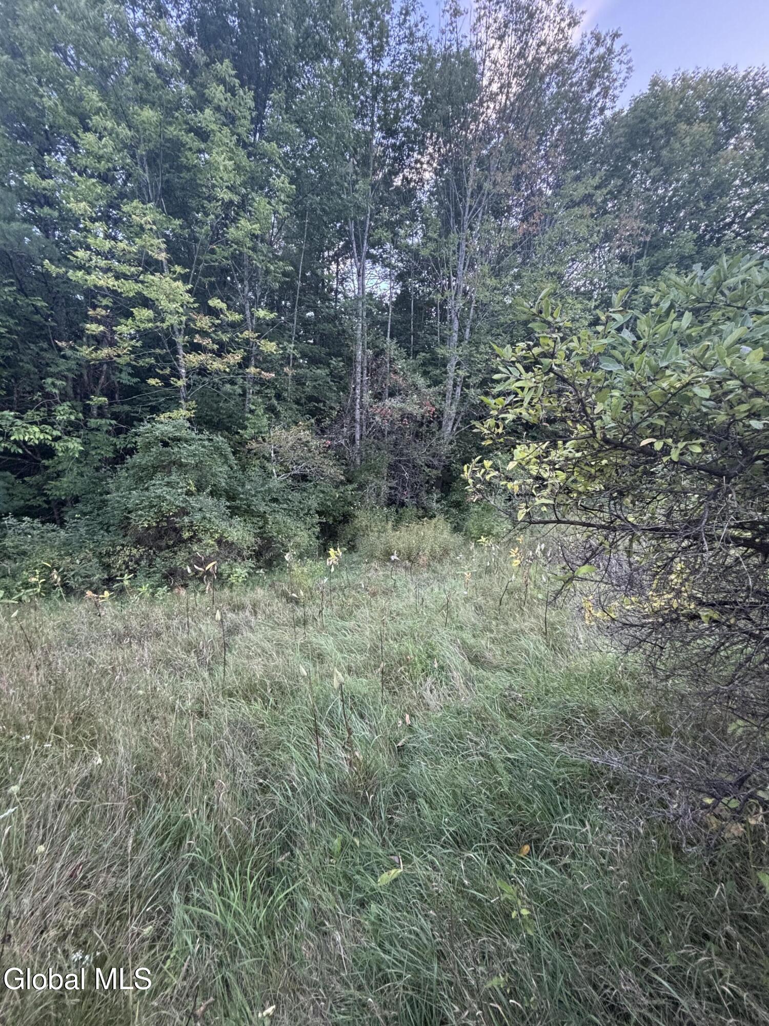 L38.11 South Shore Road Hadley NY 12835
