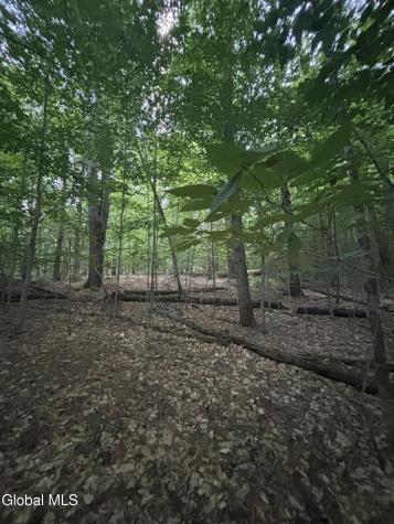 L38.11 South Shore Road Hadley NY 12835