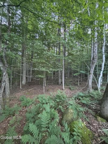 L38.11 South Shore Road Hadley NY 12835