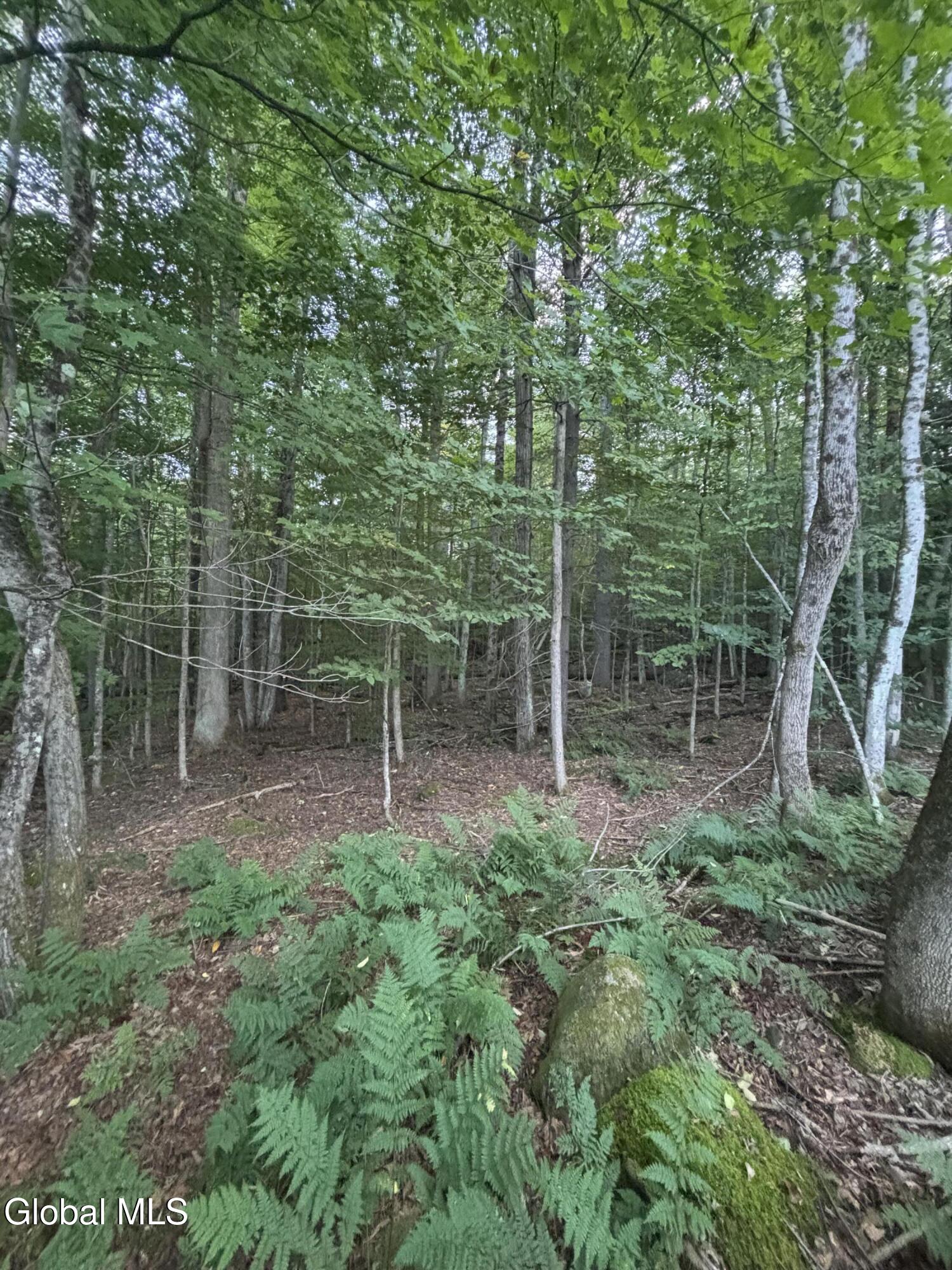 L38.11 South Shore Road Hadley NY 12835