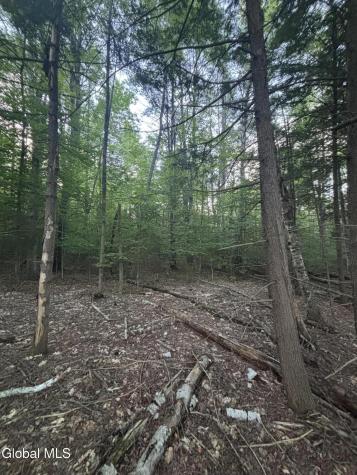 L38.11 South Shore Road Hadley NY 12835