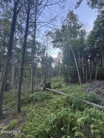 L38.11 South Shore Road Hadley NY 12835