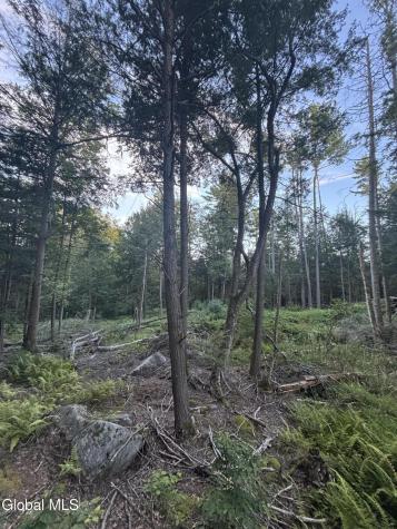 L38.11 South Shore Road Hadley NY 12835