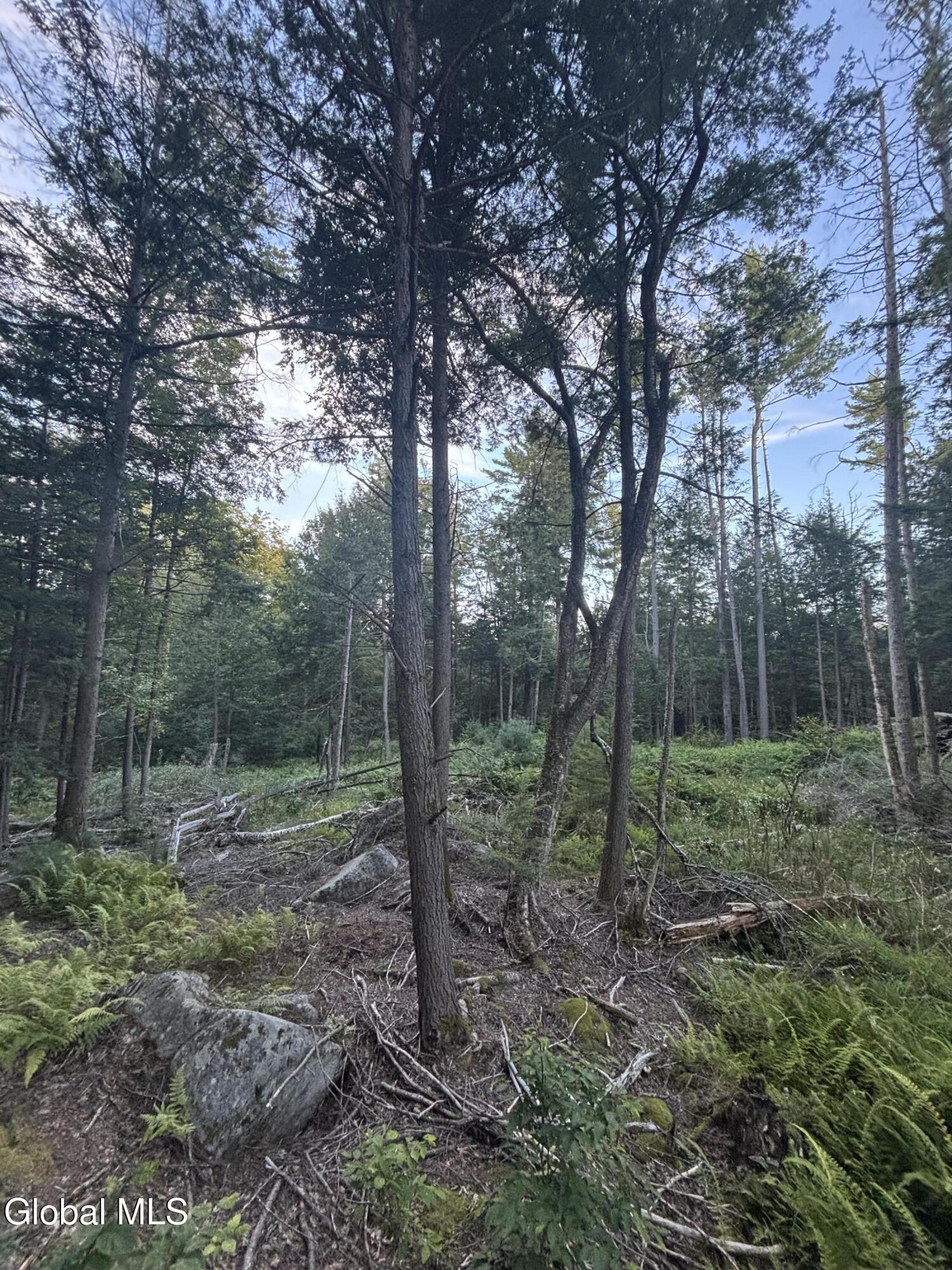 L38.11 South Shore Road Hadley NY 12835