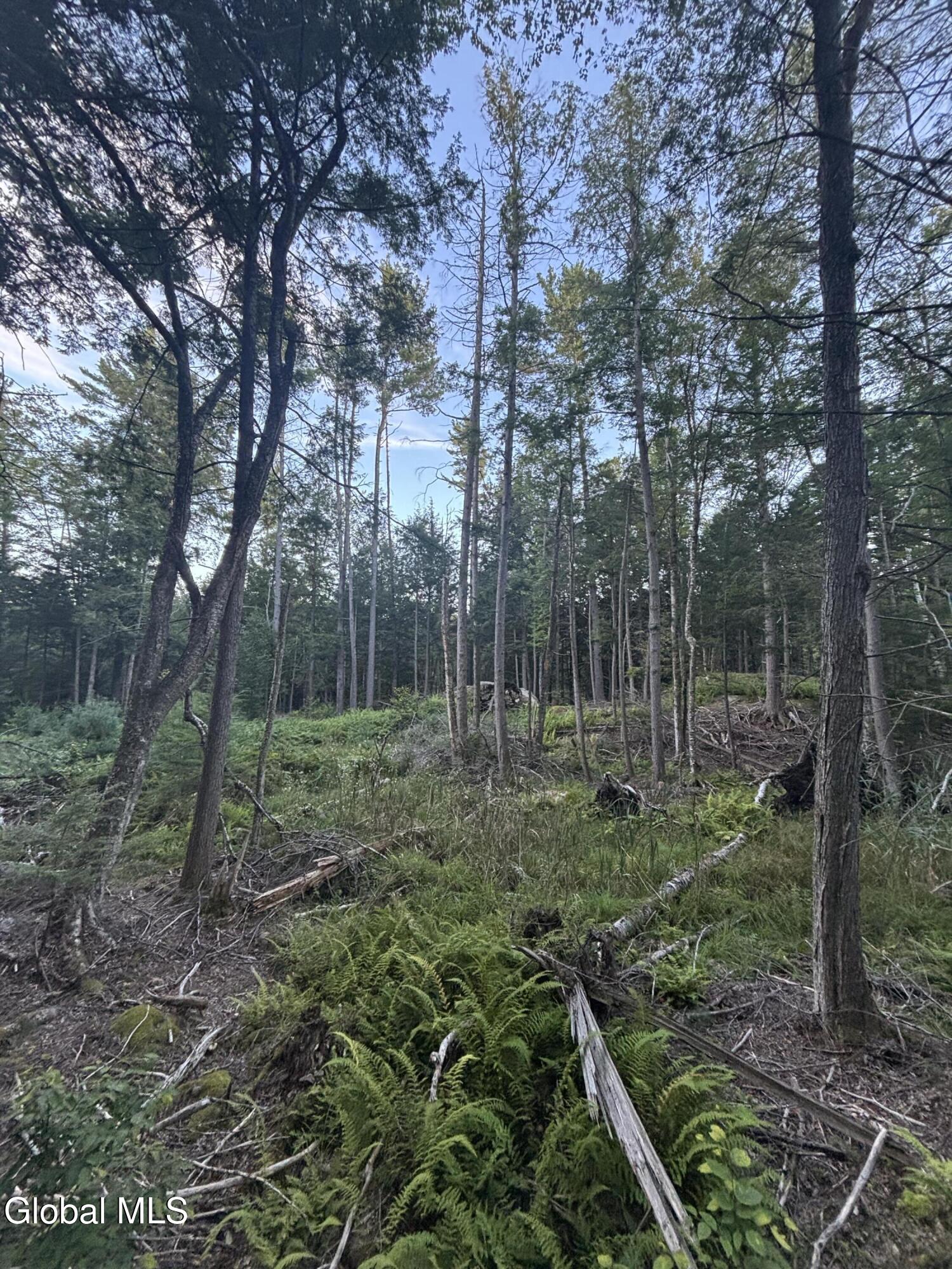 L38.11 South Shore Road Hadley NY 12835
