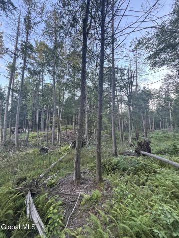 L38.11 South Shore Road Hadley NY 12835