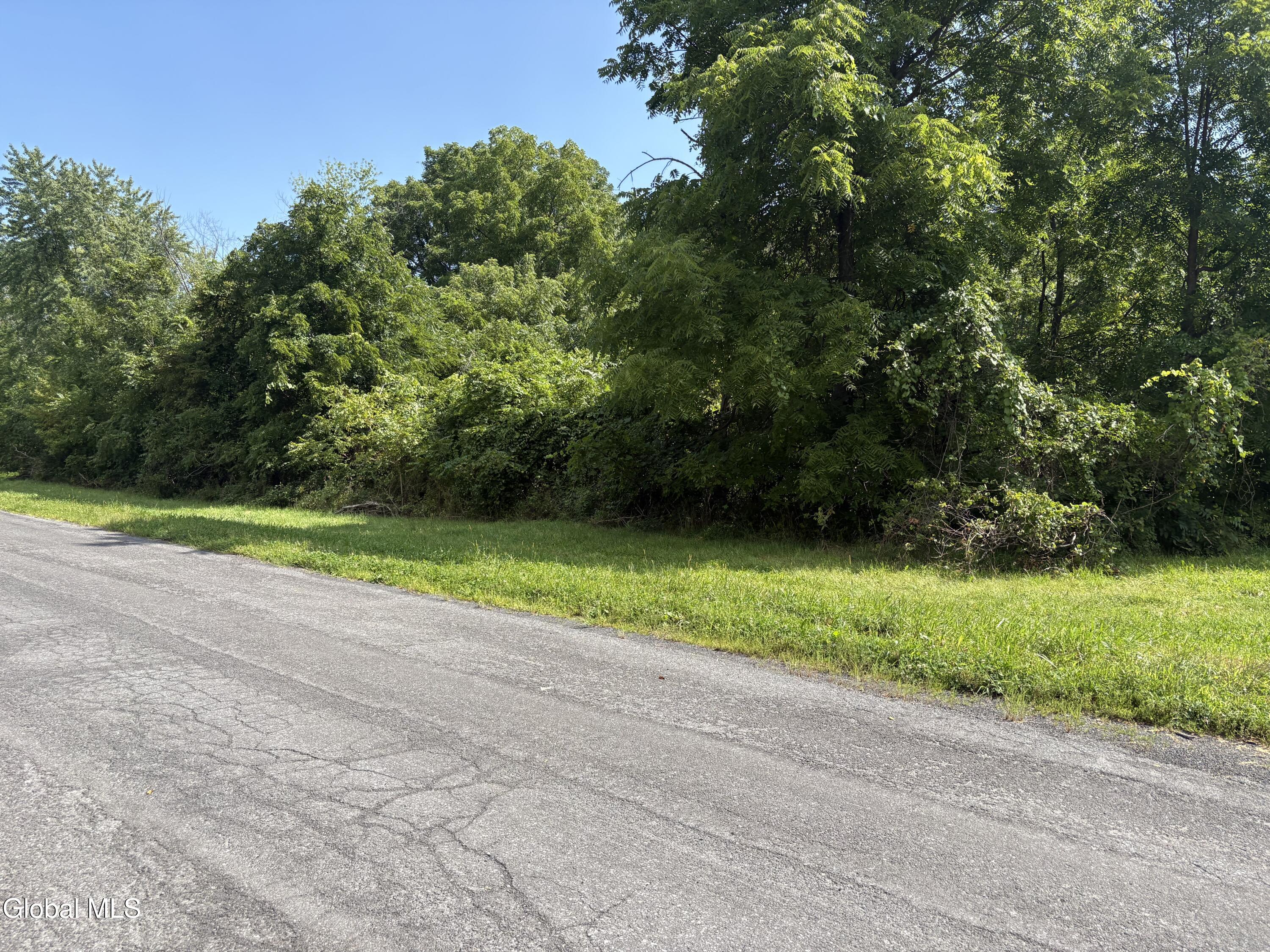 L 1 Hannacreek Road Coeymans NY 12143