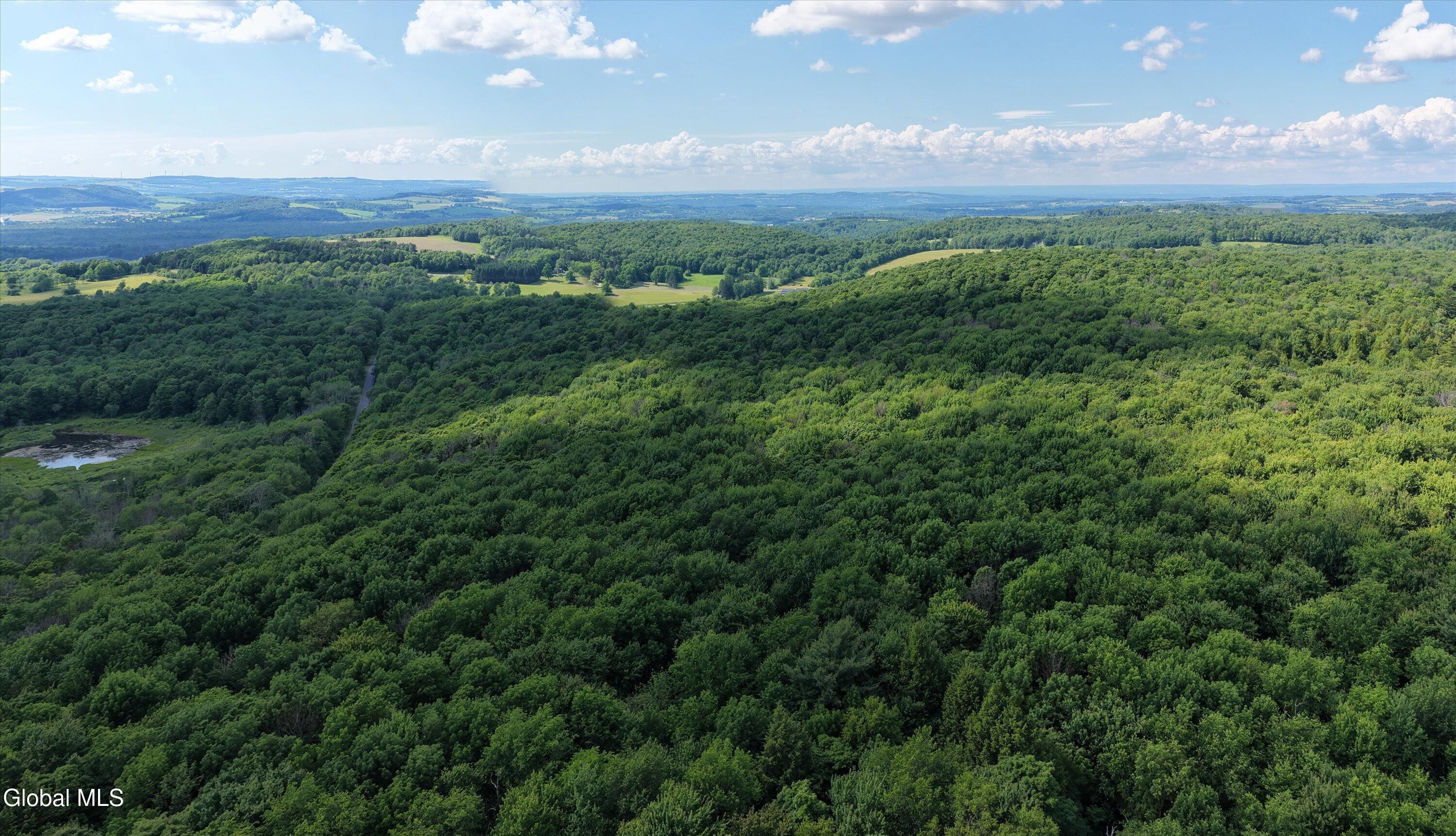 L27.5 Gorton Lake Road Waterville NY 13455