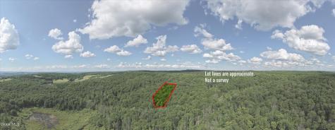 L27.5 Gorton Lake Road Waterville NY 13455