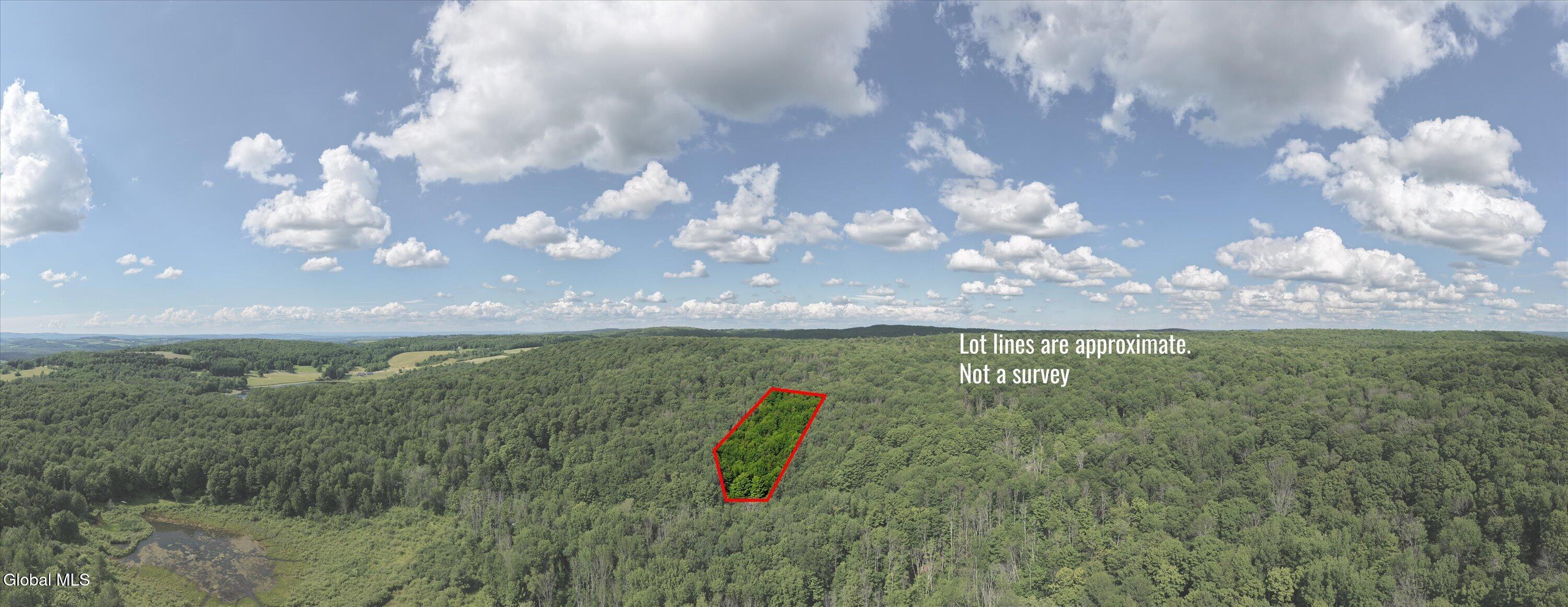 L27.5 Gorton Lake Road Waterville NY 13455