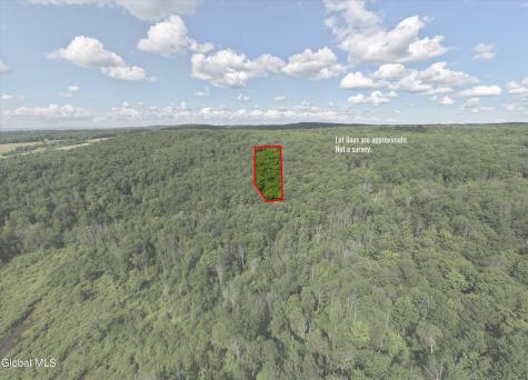 L27.5 Gorton Lake Road Waterville NY 13455