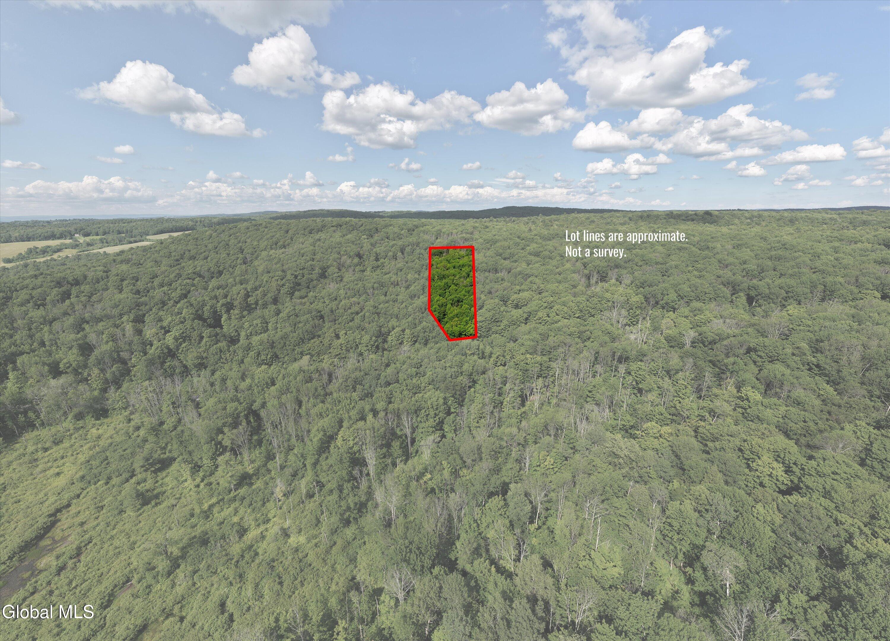 L27.5 Gorton Lake Road Waterville NY 13455
