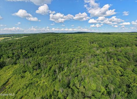 L27.5 Gorton Lake Road Waterville NY 13455