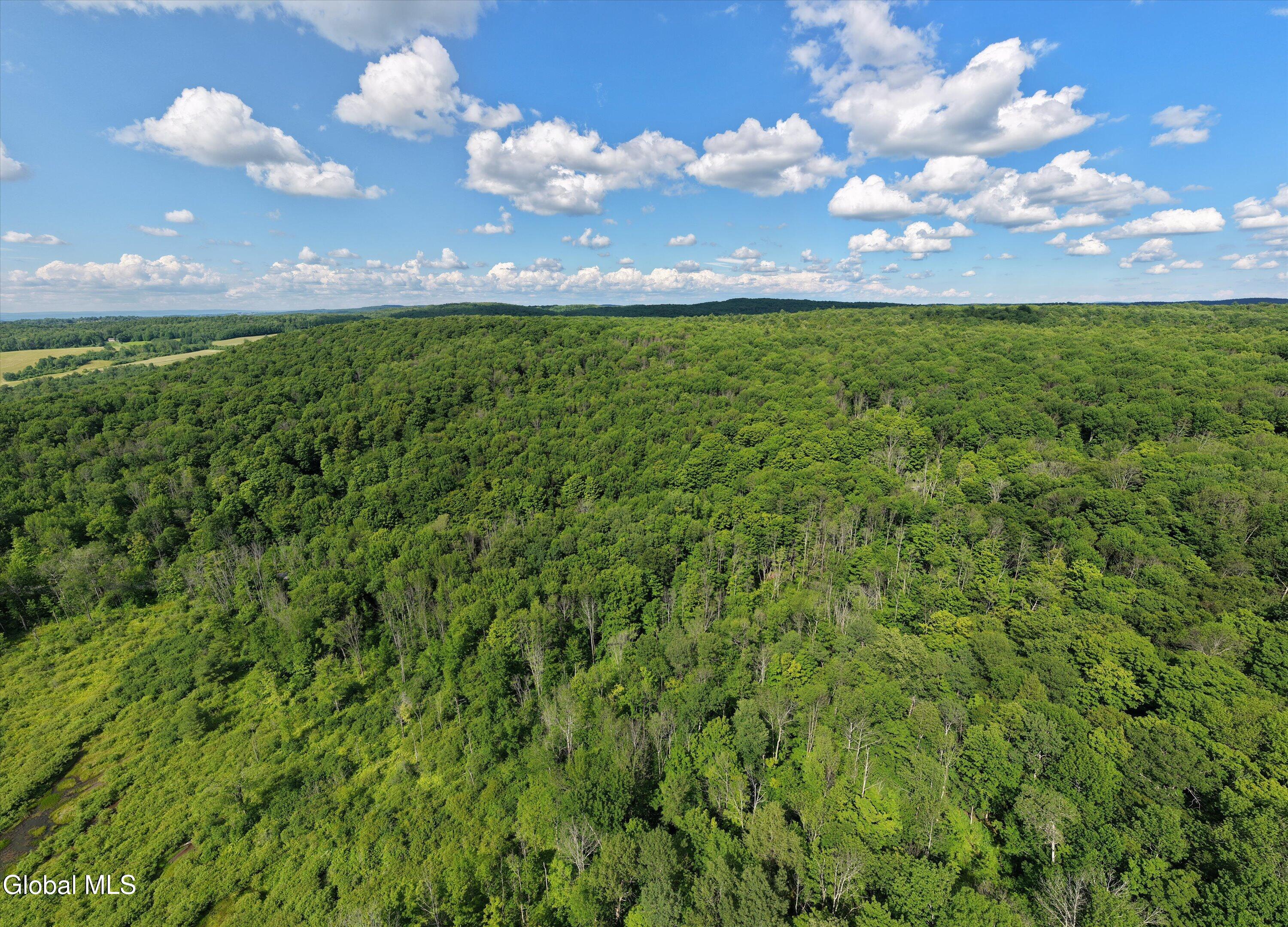 L27.5 Gorton Lake Road Waterville NY 13455