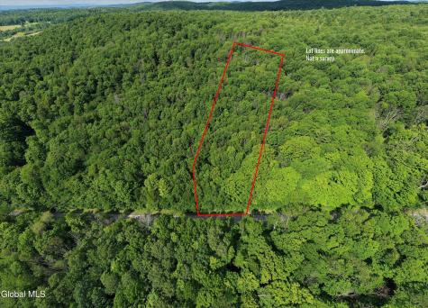 L27.5 Gorton Lake Road Waterville NY 13455