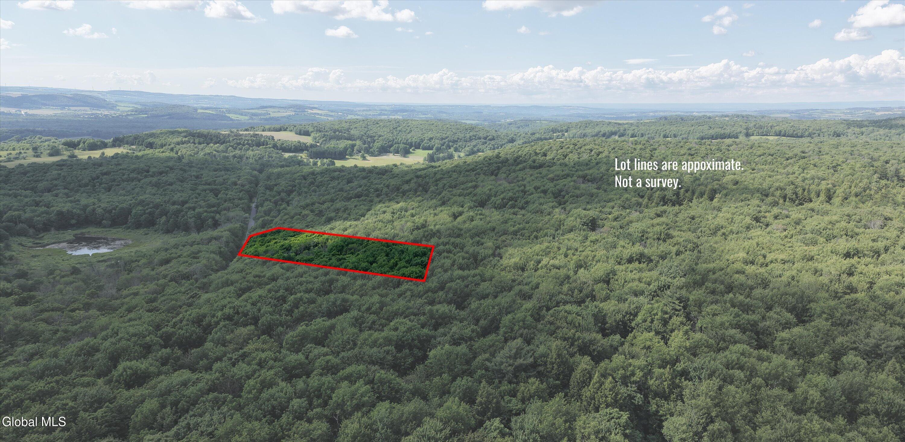 L27.5 Gorton Lake Road Waterville NY 13455