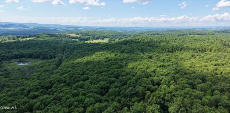 L27.5 Gorton Lake Road Waterville NY 13455