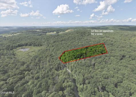 L27.5 Gorton Lake Road Waterville NY 13455